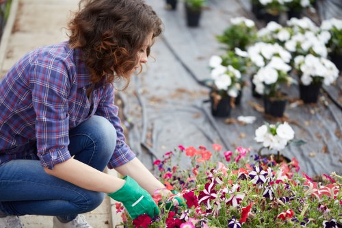Gardeners Kidbrooke team introducing local garden care services