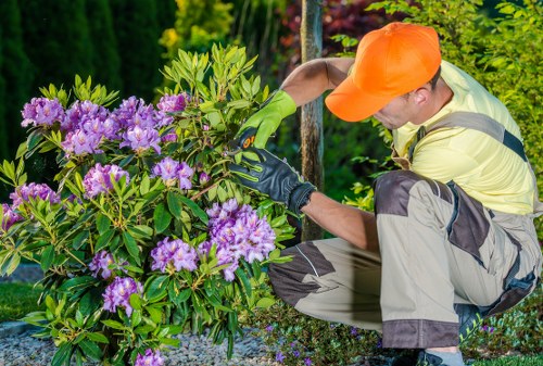 Professional Kidbrooke gardeners following safe working practices