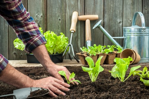 Illustration representing accessible Gardeners Kidbrooke website content