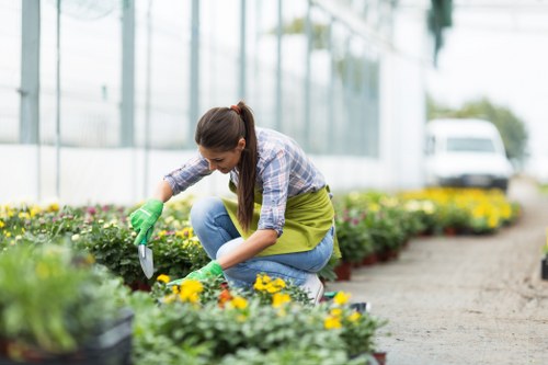 Low-maintenance outdoor space with plants and patio in Kidbrooke