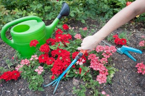 Gardening services in Kidbrooke for a neat residential garden