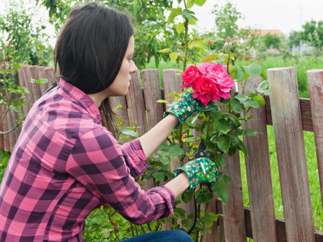 Autumn garden maintenance with leaf clearance in Kidbrooke
