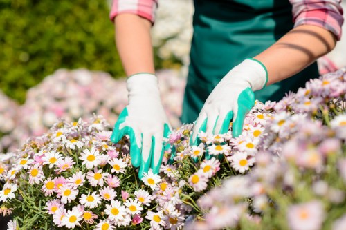 Load-based waste rate example for garden clearance