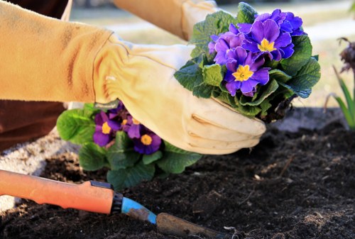 Final stage of the gardeners complaints procedure