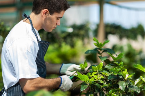 Free quote policy for local gardening services
