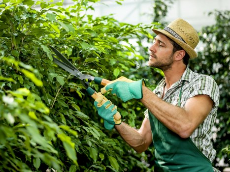 Professional garden maintenance improving a Kidbrooke property exterior