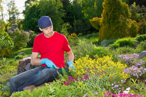 Evenly cut lawn with trimmed borders in Kidbrooke