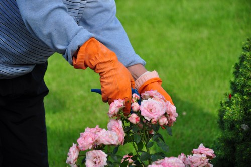 Professional garden clearance work in Kidbrooke