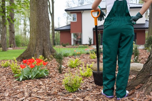 Hard and soft landscaping features in a Kidbrooke backyard