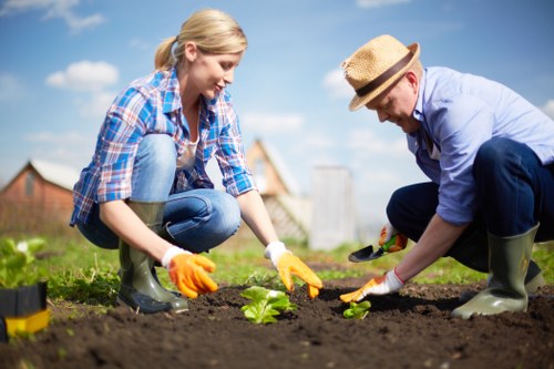 Image symbolising screen-reader support for Gardeners Kidbrooke