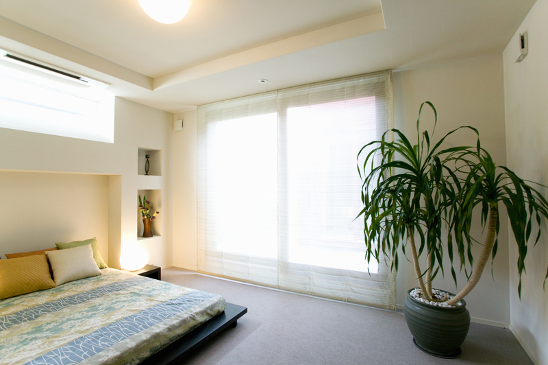 Garden outdoor space