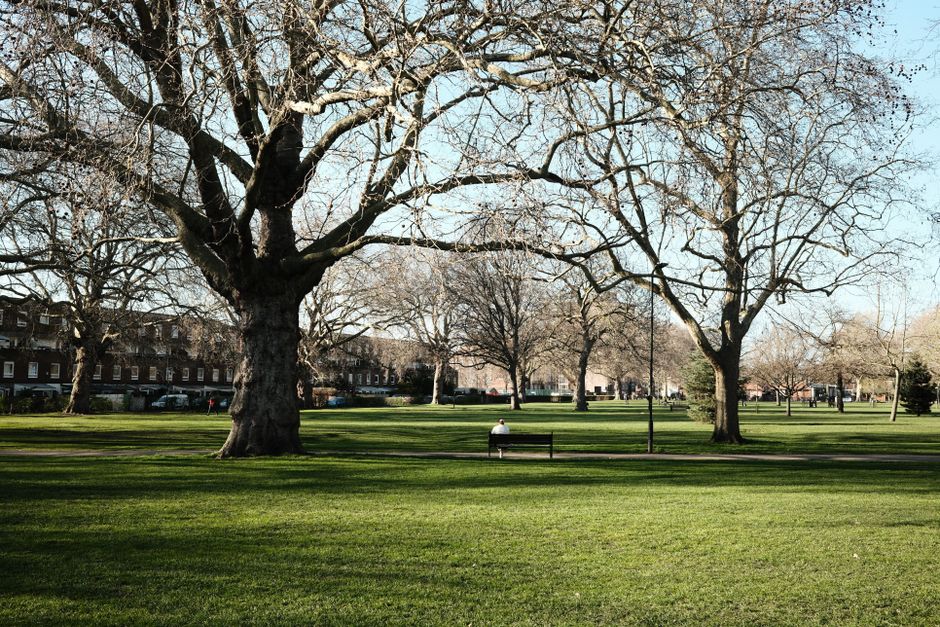 A spacious urban park featuring a well-maintained grassy lawn with neatly trimmed green grass and a few scattered fallen leaves. Large mature trees with thick trunks and sprawling branches, some still