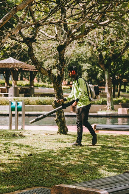 A spacious urban park featuring a well-maintained grassy lawn with neatly trimmed green grass and a few scattered fallen leaves. Large mature trees with thick trunks and sprawling branches, some still