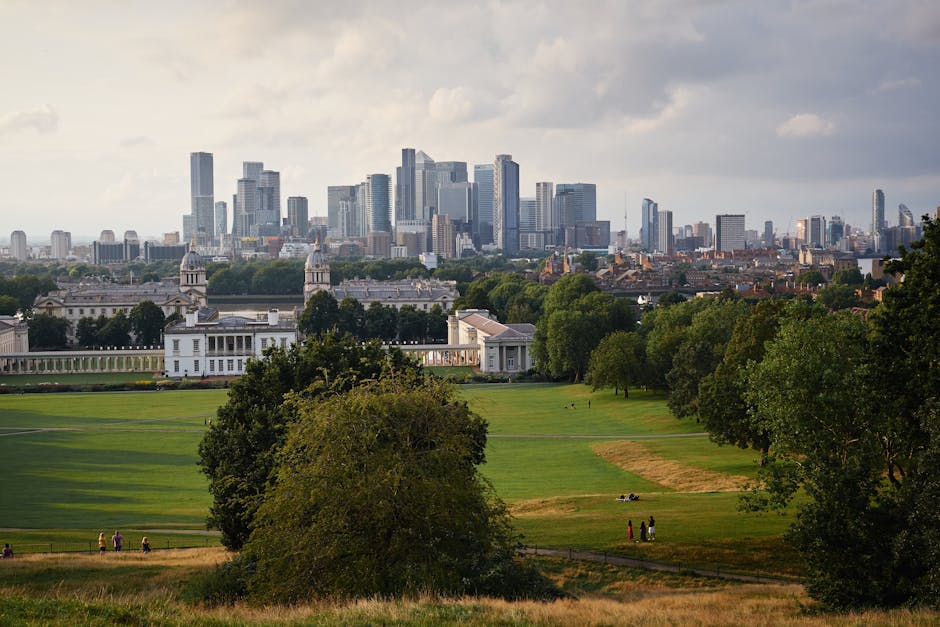 Tree work permits and fees Greenwich council guide